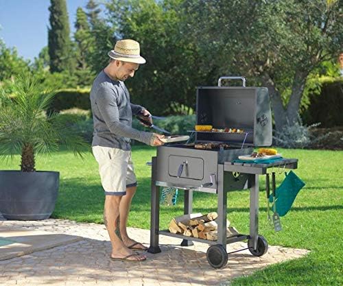 Charcoal Grill, Removable Small BBQ Smoker Grill, Tabletop Barbecue Charcoal Grill for Outdoor Cooking Camping Hiking Picnic